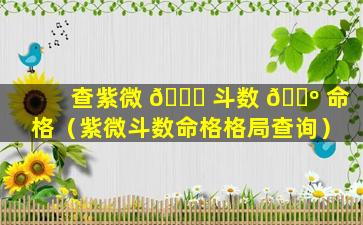 查紫微 💐 斗数 🐺 命格（紫微斗数命格格局查询）